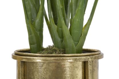 P/FIORI GLAM COPPIA CM Ø 27X62-21,5X52 - immagine 3