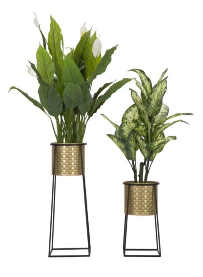 P/VASI COPPIA CUP CM Ø 26X70-23X45 - immagine 3