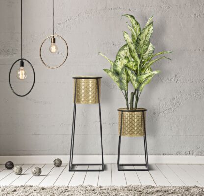 P/VASI COPPIA CUP CM Ø 26X70-23X45 - immagine 8
