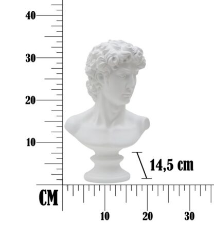 SCULTURA  ROMAN CM 21,5X14,5X34 - immagine 7