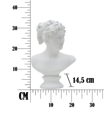 SCULTURA ROMAN WOMAN CM 21,5X14,5X34 - immagine 6