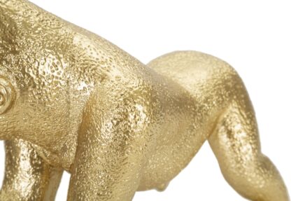 GORILLA DECOR LATERALE CM 24,3X13,9X22,8 - immagine 4