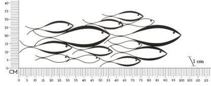 PANNELLO DA MURO FISHY CM 100X1X35 - immagine 6