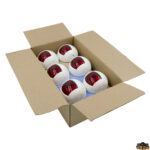 Luci di navigazione  Fanale di via alogeno Orsa Minore 12V scatola da12 pezzi modello dritta