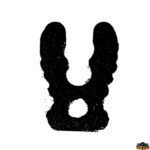 Accessori carburante e vano motore  Chiave di sicurezza per motore fuoribordo con laccio estraibile Johnson-Old Suzuki