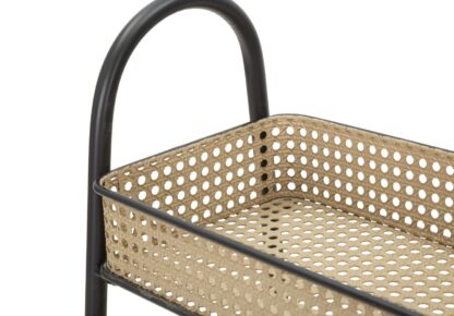 CARRELLO FUJI CM 60X30X80 - immagine 5