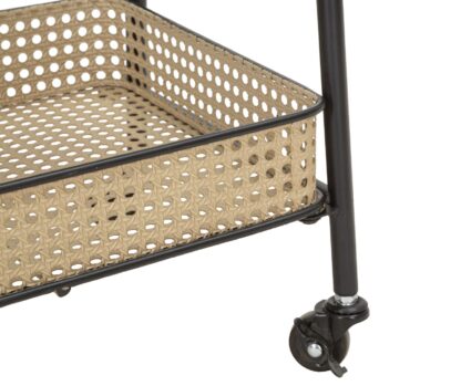 CARRELLO FUJI CM 60X30X80 - immagine 6