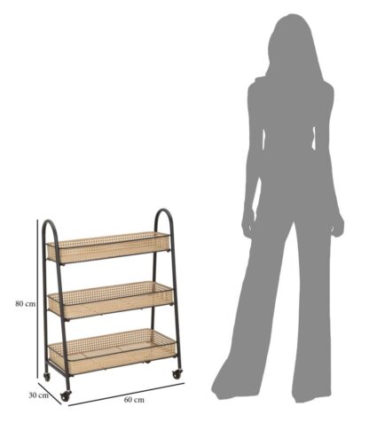 CARRELLO FUJI CM 60X30X80 - immagine 8