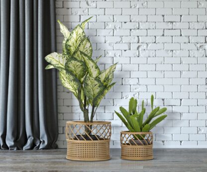 P/VASI PANAMA COPPIA CM Ø 30X25-22X18 - immagine 6