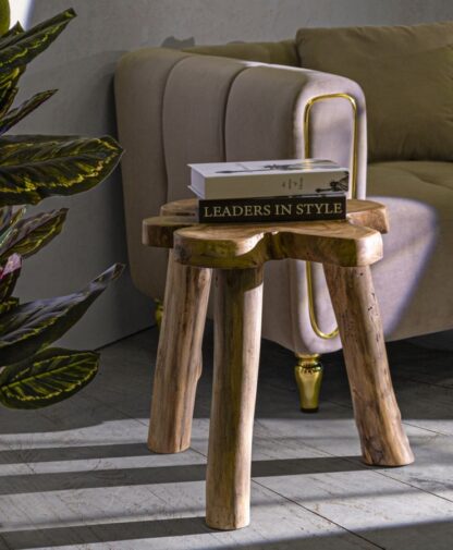 TAVOLINETTO BINTANG IN TEAK RIC. CM50X47X50 (PEZZI UNICI - NON RIP. IN SERIE) - immagine 10