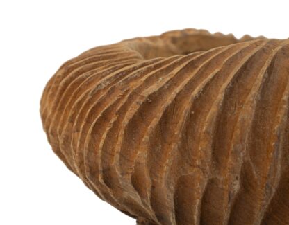 S/TASCHE GARIT IN TEAK RICICLATO CM Ø 32X11 (PEZZI UNICI - NON RIP. IN SERIE) - immagine 5