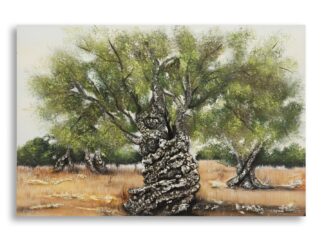 DIPINTO SU TELA OLIVO -A- CM 120X3,8X80