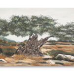 DIPINTO SU TELA OLIVO -B- CM 120X3,8X80