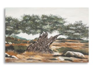 DIPINTO SU TELA OLIVO -B- CM 120X3,8X80