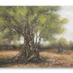 DIPINTO SU TELA OLIVO -C- CM 120X3,8X80