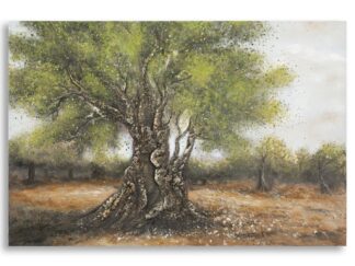 DIPINTO SU TELA OLIVO -C- CM 120X3,8X80