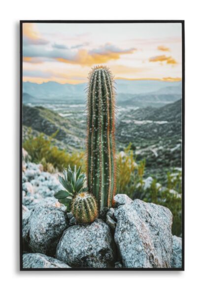 STAMPA SU TELA LACCATA C/CORNICE CACTUS -A- CM 60X4X90