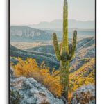 STAMPA SU TELA LACCATA C/CORNICE CACTUS -B- CM 60X4X90