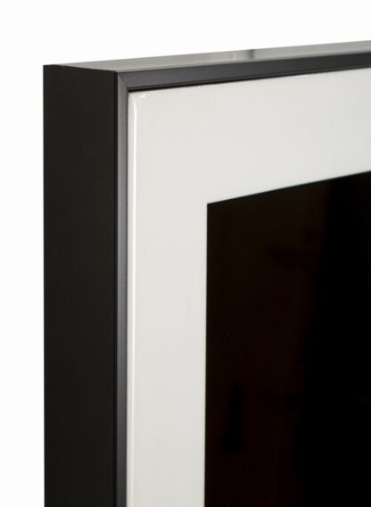 DIPINTO SU TELA LACCATO GIAGUARO C/CORNICE -A- CM 82X4X82 - immagine 5