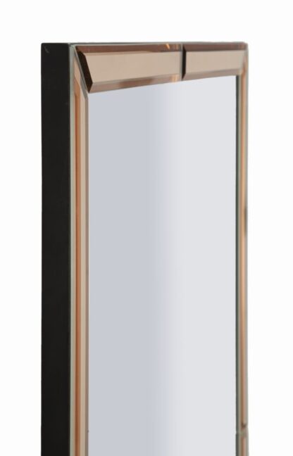 SPECCHIO DA MURO BERLINO ROSA CM 55X2X150 (MISURA SPECCHIO CM 49X143,5) - immagine 2