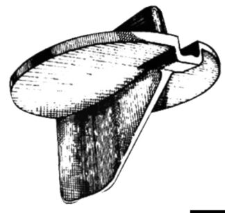 Anodo Yamaha pinna 4 tempi 43.253.00 Tecnoseal