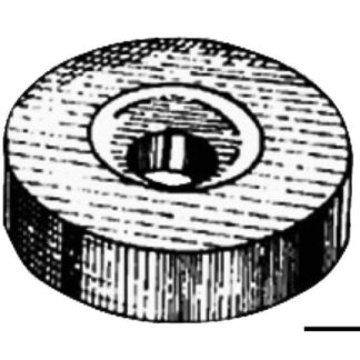 Anodo zinco Mercury a rondella 43.824.91 Tecnoseal