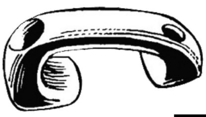 Passascotte nylon deriva 58.101.90 Viadana