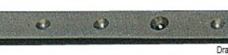 Rotaia lega leggera anodizzata 22x3 mm 2 m 61.510.93 Viadana