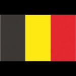 ADRIA BANDIERE Bandiere in Tessuto BANDIERA BELGIO CM.20x30