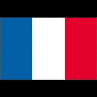 ADRIA BANDIERE Bandiere in Tessuto BANDIERA FRANCIA CM.20X30