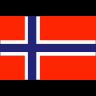 ADRIA BANDIERE Bandiere in Tessuto BANDIERA NORVEGIA CM.20X30