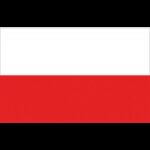 ADRIA BANDIERE Bandiere in Tessuto BANDIERA POLONIA CM.20X30
