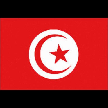 ADRIA BANDIERE Bandiere in Tessuto BANDIERA TUNISIA CM.20X30