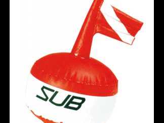 Boe Sub e da Regata BOA SUB