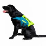 JOBE Aiuto al galleggiamento Jobe PET VEST TG. M