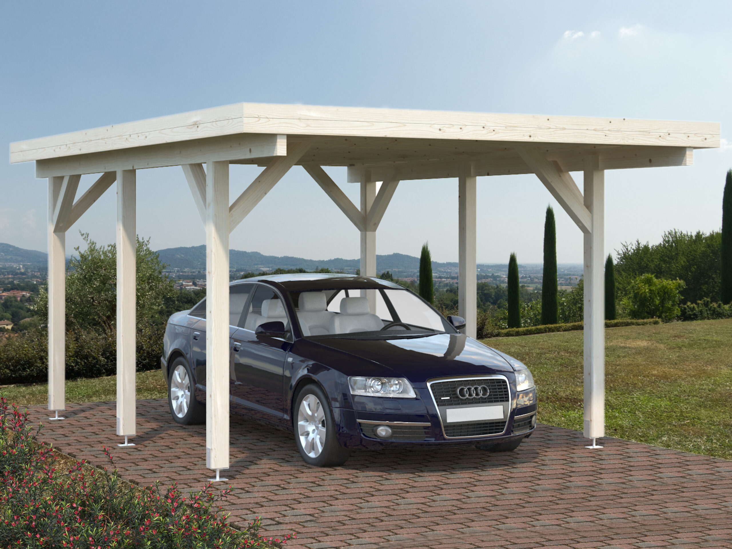 PERGOLE GAZEBO E CARPORT CARPORT SINGOLO CON COPERTURA - immagine 2