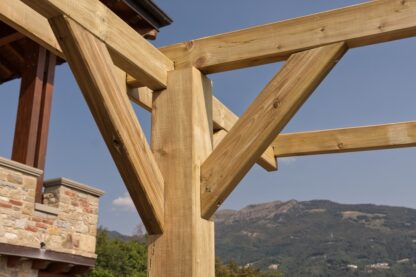 PERGOLE GAZEBO E CARPORT CARPORT SINGOLO SENZA COPERTURA - immagine 2