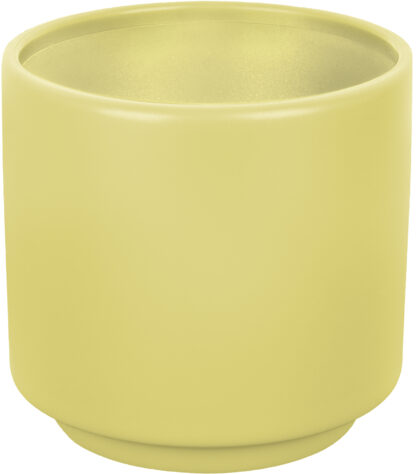 Set 2 Espresso Dolomit yellow Brunner DOLOMIT - immagine 2