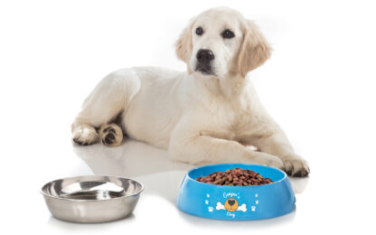 Ciotola per cani Hungry Brunner STOVIGLIE OUTDOOR - immagine 4
