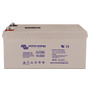 Batteria Victron AGM Deep Cycle 12 V 220 Ah 12.416.05 Victron Energy