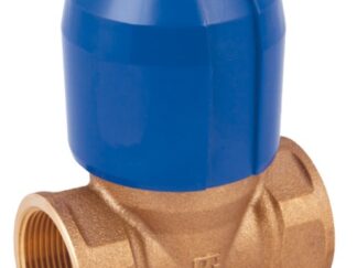 Valvola antiblocco in bronzo Alex filettata 3/4" 17.558.03 Guidi