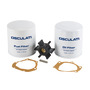 Kit manutenzione motori Diesel VOLVO 21189426 17.600.08 Osculati