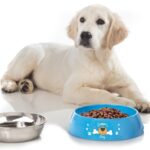 Ciotola per cani Hungry XL Brunner STOVIGLIE OUTDOOR