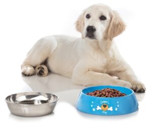 Ciotola per cani Hungry XL Brunner STOVIGLIE OUTDOOR