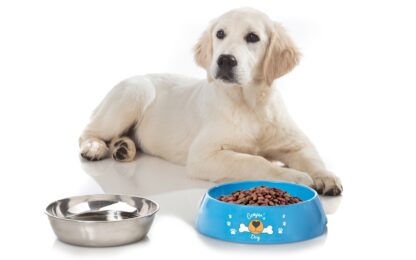 Ciotola per cani Hungry Brunner STOVIGLIE OUTDOOR