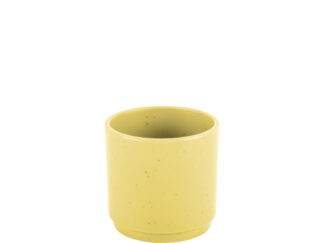 Set 2 Espresso Dolomit yellow Brunner DOLOMIT