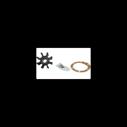 JABSCO Giranti Jabsco Originali GIRANTE BLISTER 920-0001P