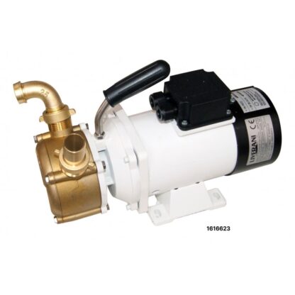LIVERANI Cem,Gianneschi,Liverani POMPA EP 20 CC 12V - immagine 3