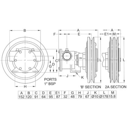 JABSCO Pompe Raffredamento Motore POMPA FR.2 GOLE 24V 50080-2101 - immagine 2