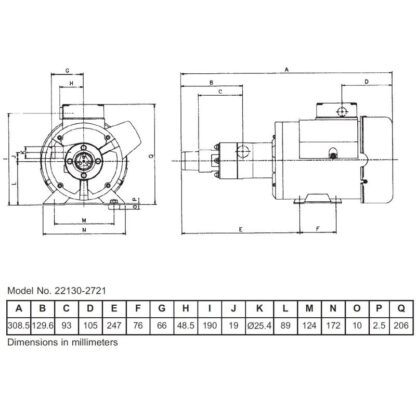 JABSCO Maceratori, Depuratori MACERATORE 110/220V 50/60HZ - immagine 2